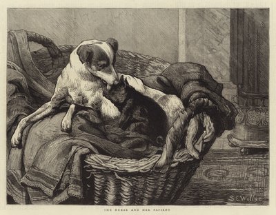 La enfermera y su paciente de Samuel Edmund Waller